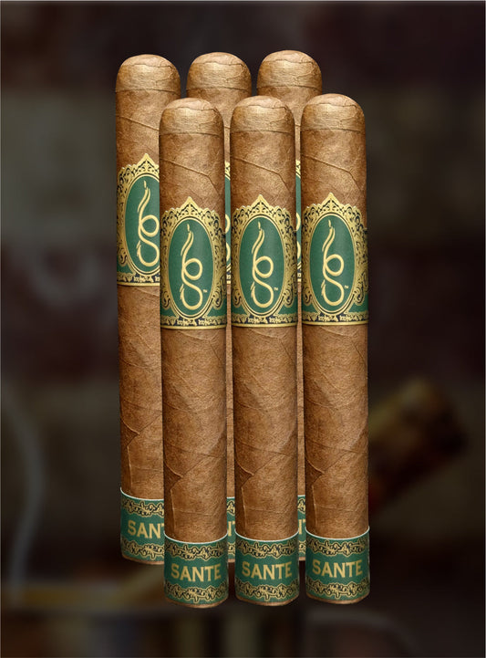 6S™ SANTE Toro 6pk Premium Cigar 6" x 52