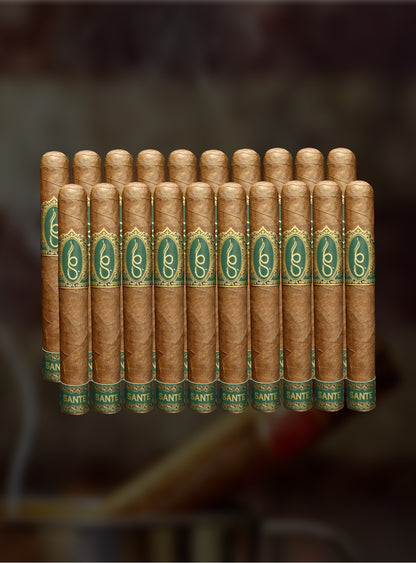 6S™ SANTE Toro 3pk Premium Cigar 6" x 52